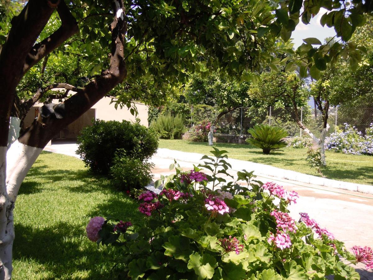 גאוביה Casa Malu Boutique Studio No 4 מראה חיצוני תמונה