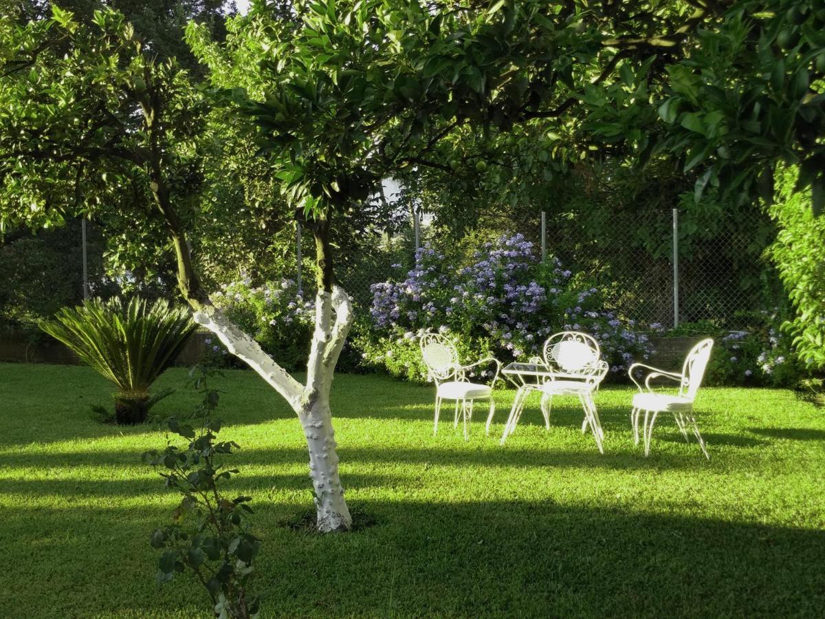 גאוביה Casa Malu Boutique Studio No 4 מראה חיצוני תמונה